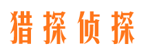 双城市侦探